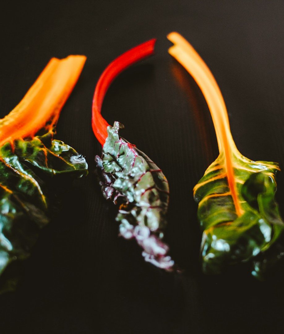 Mangold Bunte Stiele von Mangold auf dunklem Hintergrund.